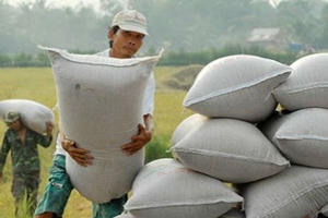 Xây dựng thương hiệu gạo quốc gia: Tránh “xây nhà từ nóc”!