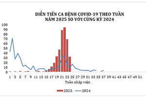 Tín hiệu tích cực từ số ca nhiễm COVID-19 tại TP HCM