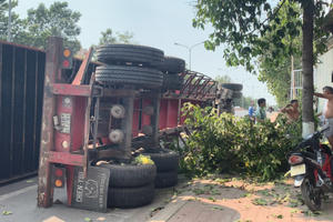 Bình Dương: Container húc đổ cây xanh rồi lật ngang đường