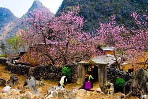 Phượt ngày Tết: Có gì trên những cung đường vùng cao phía Bắc?