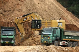 Kỳ tích từ sự quyết tâm