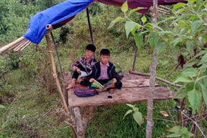 Cảm phục học trò người H’Mông xứ Nghệ dựng chòi trên núi “tìm sóng” học trực tuyến