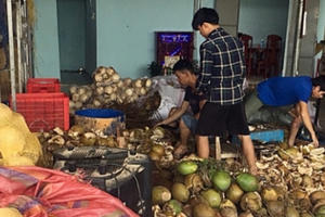 Quảng Nam: Xử phạt 60 triệu cơ sở dùng hóa chất tẩy trắng dừa phục vụ resort, khách sạn