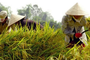 Đầu tư công để xóa đói giảm nghèo: Người nghèo khó tiếp cận?