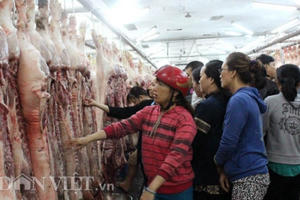 Giá heo hơi mới nhất 15/4: Thị trường vẫn "nóng", giá sẽ tăng tới mức nào?