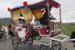 Độc đáo màn rước dâu bằng xe ngựa ở xứ Nghệ