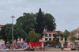 Kiểm điểm tập thể, cá nhân để xảy ra sai phạm trong quản lý khoáng sản tại huyện Lục Ngạn