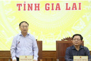 Phó Thủ tướng Hồ Quốc Dũng: Gia Lai cần sớm ổn định đời sống người dân sau bão số 13