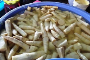 Chế biến măng tươi đúng cách không lo nhiễm hóa chất