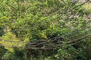 Cảnh sát giải cứu 2 cháu bé bị mắc kẹt dưới hố sâu trên núi Trầm Cảnh sát giải cứu 2 cháu bé bị mắc kẹt dưới hố sâu trên núi Trầm