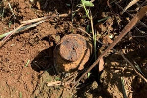 Phát hiện vật nghi đầu đạn sót lại giữa rẫy cao su Phát hiện vật nghi đầu đạn sót lại giữa rẫy cao su