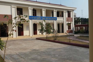 Chia sẻ của những cán bộ gần gũi “con nghiện" bị "nàng tiên nâu hành hạ"