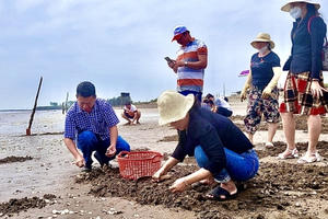Điểm khác biệt khi du lịch tại biển Tân Thành
