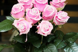 Thị trường ngày 8/3: Phát sốt với hoa hồng kim cương