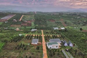 Khai thông phân khúc bất động sản phục vụ du lịch nông nghiệp Việt Nam