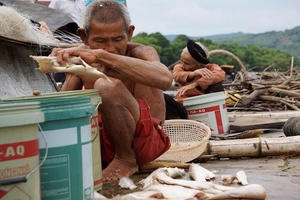 Lũ về bất thường, cá chết trắng thượng nguồn sông Mã