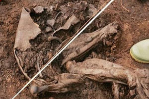 Khám phá những xác ướp đặc biệt nhất thế giới