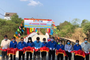 Tỉnh Đoàn Đồng Nai hoàn thành cây cầu dân sinh thứ 2 trong tháng Thanh niên