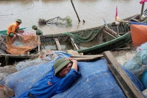 Tiền Hải (Thái Bình): Bà con oằn mình khắc phục hậu quả nặng nề do bão số 1 để lại