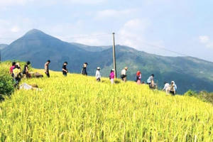 Quảng Ninh: 50 doanh nghiệp chuyên dòng khách nước ngoài tới Bình Liêu khảo sát, kết nối du lịch