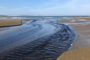 Bãi tắm Quỳnh Lập bị “bức tử” vì dòng nước thải đen ngòm bốc mùi hôi thối nồng nặc