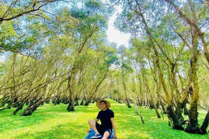 Rừng tràm Trà Sư, nơi có chiếc cầu tre dài nhất Việt Nam