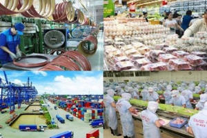 IMF: Tăng trưởng kinh tế Việt Nam có thể đạt 6,5% năm 2021