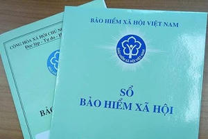 Bảo hiểm xã hội Hà Nội phạt hành chính 10 đơn vị vi phạm