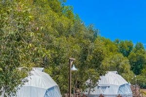 Bài 3 - Du lịch cắm trại ở hồ Trị An: Sẽ có cơ chế phát triển