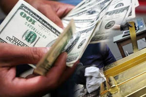 Vốn đầu tư FDI đầu tư tại Việt Nam ước đạt 13,1 tỷ USD