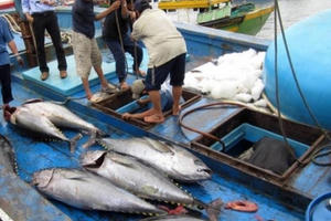 Sẽ luật hóa EVFTA để tận dụng cơ hội từ Hiệp định