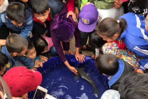 Quăng một nhát chài bắt cá chép nặng 3,2 kg bị đồn thổi là “cá thần” Quăng một nhát chài bắt cá chép nặng 3,2 kg bị đồn thổi là “cá thần”