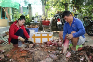 Khởi nghiệp từ chuối, tre