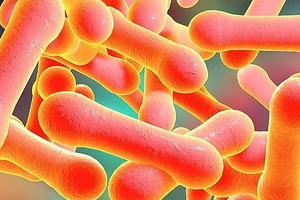 Phát hiện 3 bệnh nhân nhiễm vi khuẩn gây bệnh bạch hầu