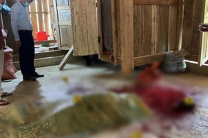 Lai Châu: Bắt người chồng dùng dao đâm vợ rồi bỏ trốn vào rừng