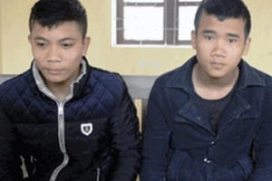 Nghệ An: Vừa được tại ngoại, 9X ngay lập tức "ngựa quen đường cũ"