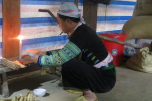 Phong tục đón Tết của người H'Mông ở bản Lềnh - Văn Chấn -Yên Bái