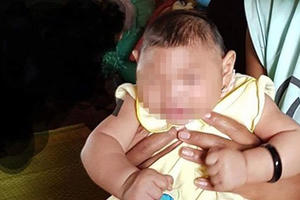 Cả nước có 212 trường hợp nhiễm Zika trong năm 2016