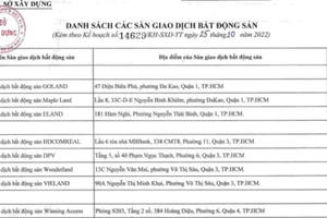 TP HCM: Lên kế hoạch kiểm tra hoạt động 61 sàn giao dịch bất động sản