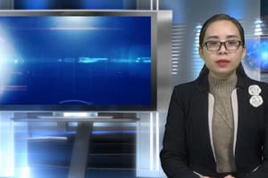 Bản tin Pháp luật: Tạt axit rồi cắt gân để trả thù, hành vi hết sức man rợ