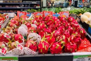 Tắc biên với Trung Quốc, thanh long sang Australia giá tới 200.000 đồng/kg