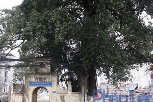 Hà Nội: Phá dỡ cổng làng giữa đường nghìn tỷ để thi công Hà Nội: Phá dỡ cổng làng giữa đường nghìn tỷ để thi công