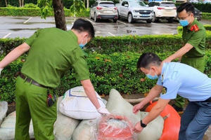 Thu giữ 883 kg nội tạng động vật không rõ nguồn gốc xuất xứ