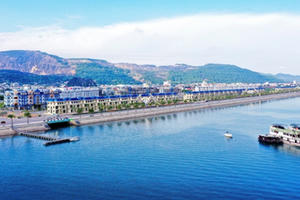 Tập đoàn TTP - 15 năm Bứt phá vươn ra biển lớn