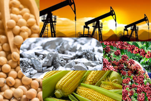 Lực mua lan tỏa toàn thị trường, MXV-Index tăng gần 2,8%