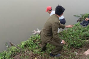 Hà Nam: Bàng hoàng phát hiện một thi thể trẻ sơ sinh tử vong nổi trên mặt nước