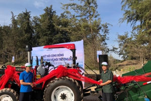 Tập đoàn Novaland góp phần gìn giữ môi trường sinh thái biển Phan Thiết – Bình Thuận