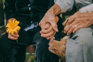 Khi người già… “hồi xuân”