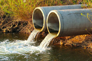 Nâng mức phạt tù, phạt tiền đối với tội phạm về môi trường