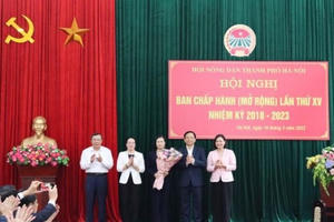 Bà Lê Thị Thanh Nhàn giữ chức Phó Chủ tịch Hội Nông dân TP Hà Nội